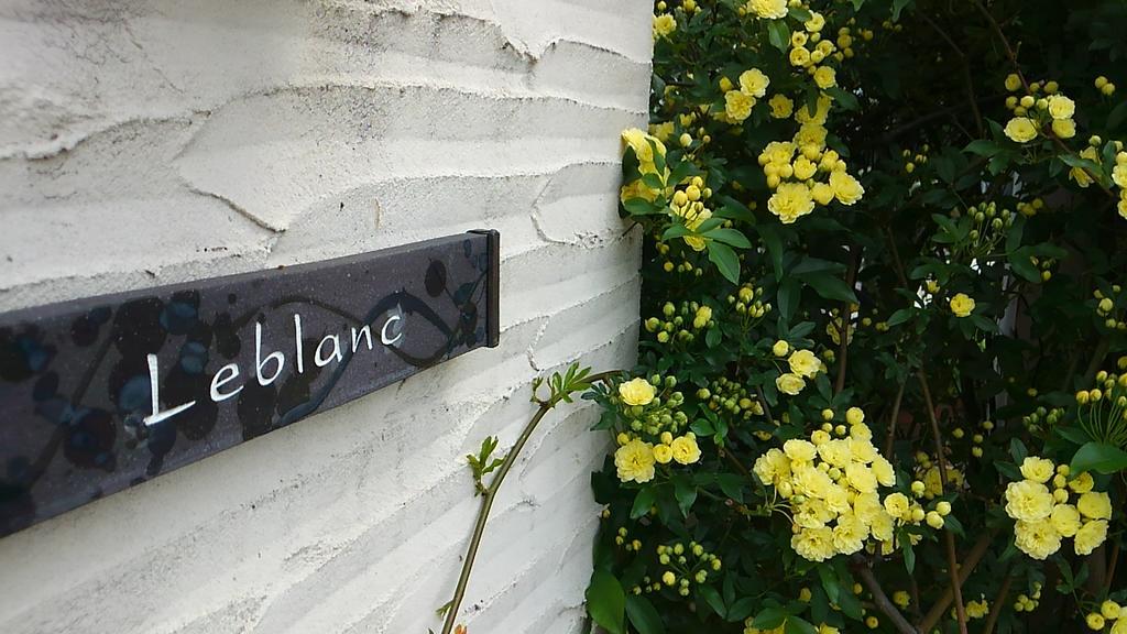 Guest house Le Blanc