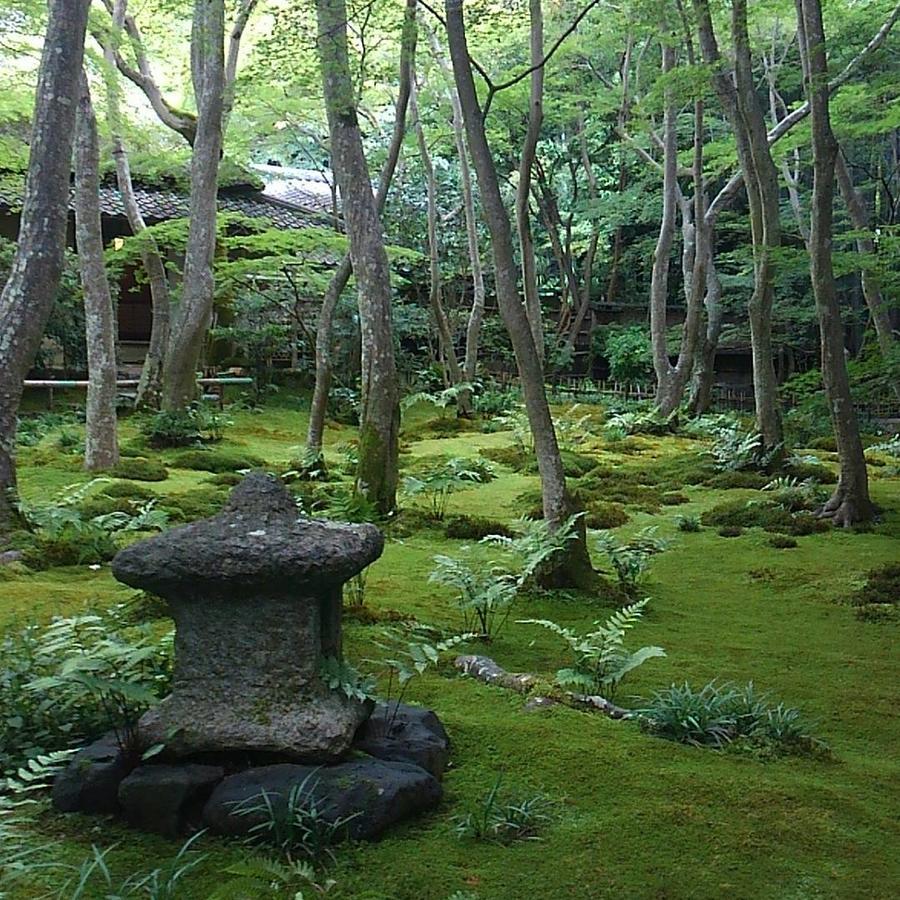 Le Blanc * Kyoto